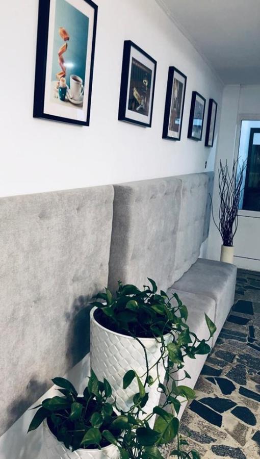 Siechnice Noclegi Ngoại thất bức ảnh